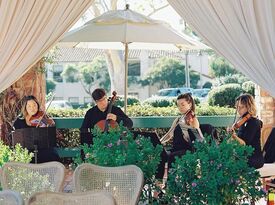 Organic String Quartet - String Quartet - Los Angeles, CA - Hero Gallery 1