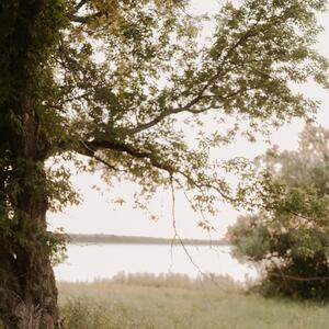 Gallery Photo 19