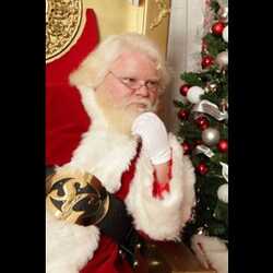 Wish4Santa - Santa Claus with real beard!, profile image