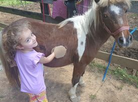 Hogback Mountain Pony Rides, LLC - Pony Rides - Leesburg, VA - Hero Gallery 1