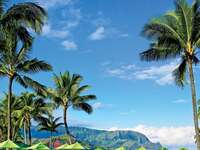 The best spa getaways for your honeymoon; The St. Regis Princeville Resort in Kauai