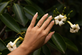 Woman's hand wearing diamond engagement ring from Maui Divers Jewelry in Honolulu, Hawaii