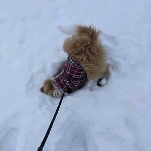 Gallery Photo 24
