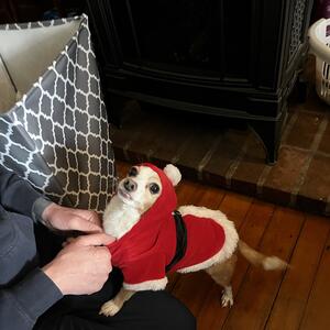 Gallery Photo 9