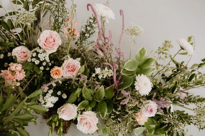 Queen Anne's Lace, Flowers and Gifts