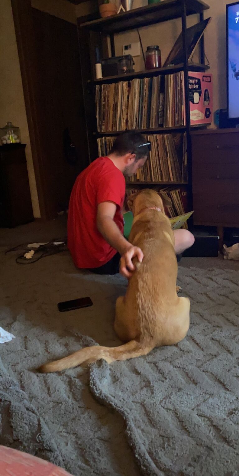Kyle and Hazel looking through the records. A very normal occurrence in our home. About 3 years 6 months. 