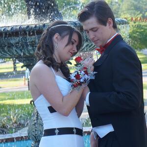 Gallery Photo 41