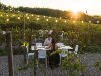 Young couple having dinner in a vineyard in Italy, Tuscany, Siena.