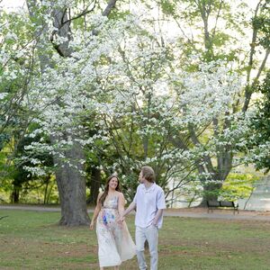 Gallery Photo 29