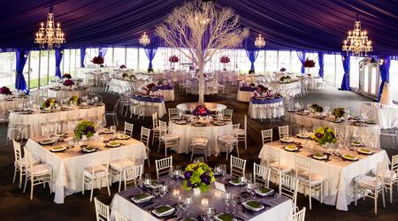 Dynamic Events by David Caruso Wedding Planners The Knot