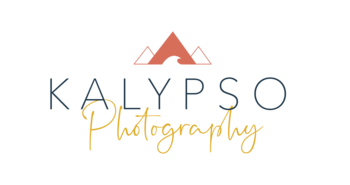 Vendor Logo