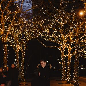 Gallery Photo 3