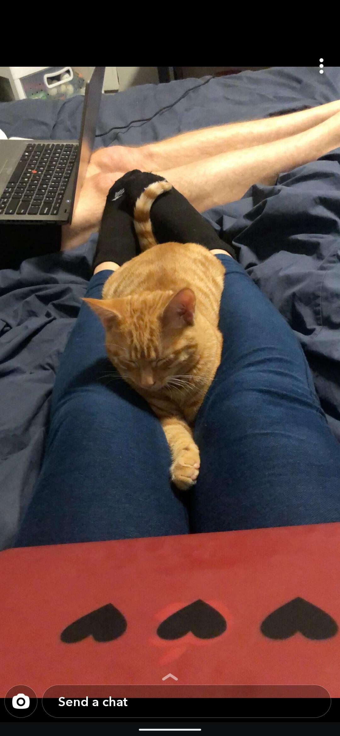 As two students, time spent together was precious and often meant intermixing conversations and food with trying to do homework or listening in on Zoom classes simultaneously. Fortunately, Argon fell for Amanda almost as quickly as Cameron did!