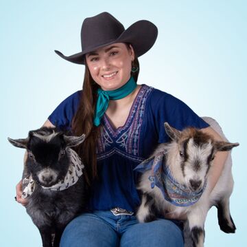 Pygmy Goat Entertainment for Parties and Events - Animal For A Party - Byron Center, MI - Hero Main