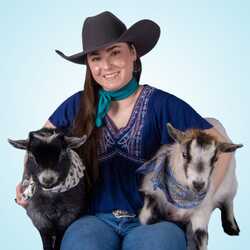 Parkside Farm Pygmy Goat Parties & Petting Zoos, profile image