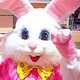 Hip hoppity HOP! BIG FUN Circus Easter Bunny dont stop- Dance and play w BIG FUN today!