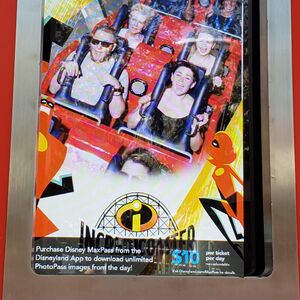 Gallery Photo 113