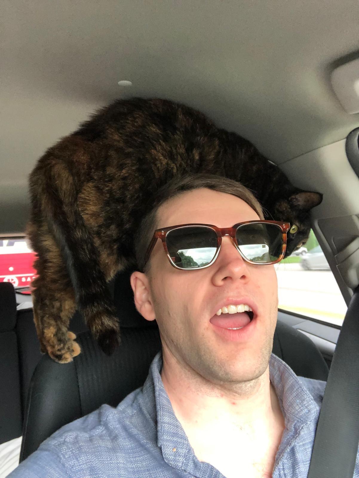 Después de pasar una semana juntos en Washington, Dan empezó su viaje a Seattle con su gatita Macy. Aunque parezca que está feliz en la foto, en el fondo estaba muy triste por dejar a Michelle (supuestamente).

_________________________________

After spending a week together in Washington, Dan began his trip to Seattle with his cat Macy. Although he looks like he is happy in the photo, deep down he was very sad about leaving Michelle (supposedly).