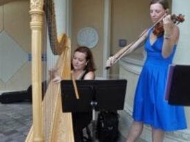 Macon Harpist Betsy Fitzgerald - Harpist - Macon, GA - Hero Gallery 2