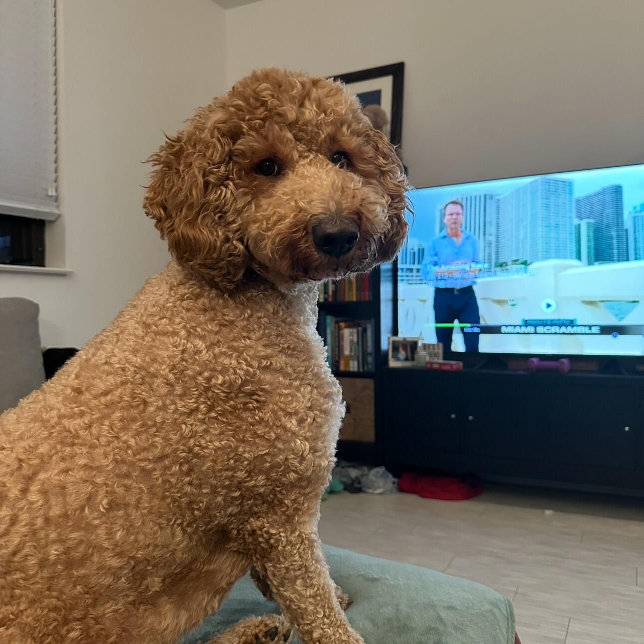 Celebrated 3 years with Murph!