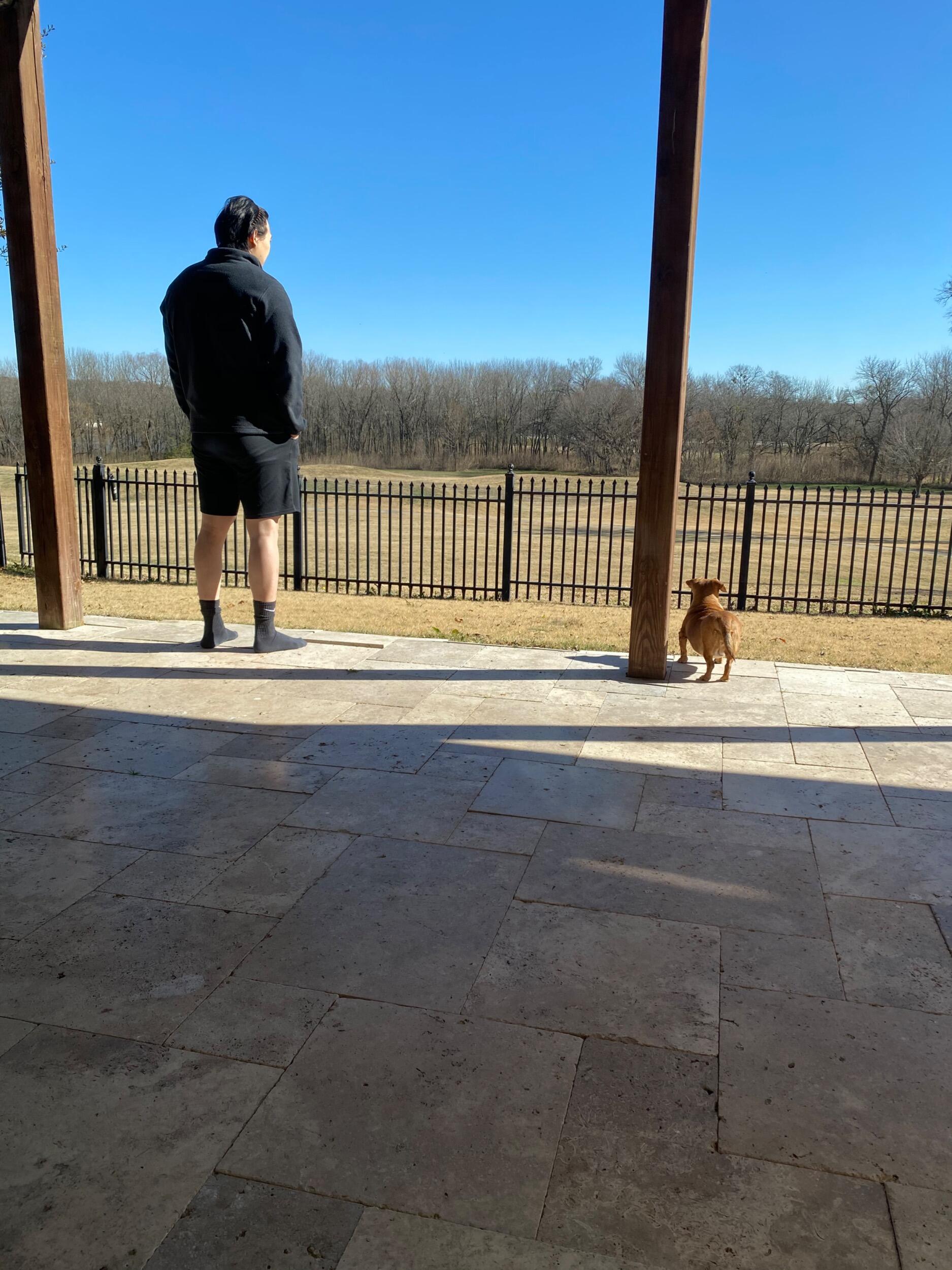 Inspecting Disney's new backyard