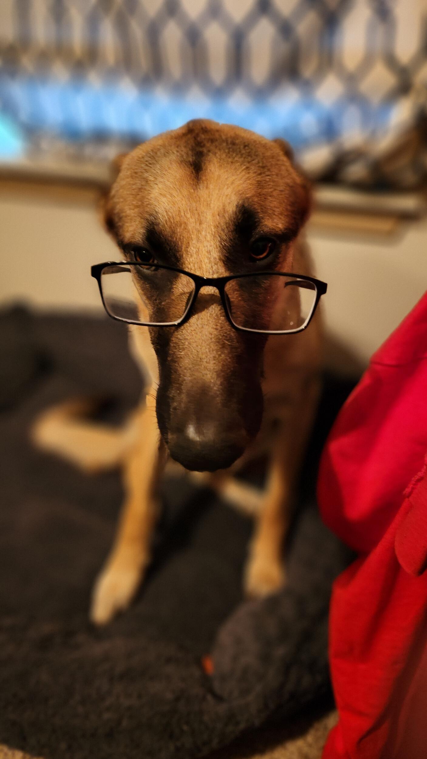 In our house, if you eat it, you wear it