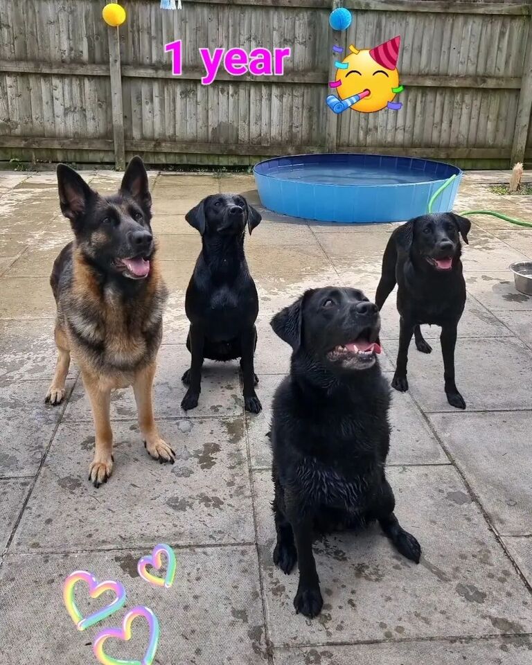We love hosting parties - whether that be a puppy pool party, BBQ, Halloween, New Year, Cocktail hours, Christmas, games nights or just a Saturday. 