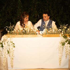 Gallery Photo 493