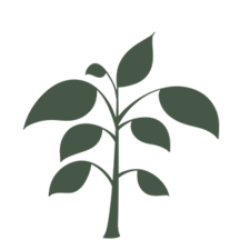 Vendor Logo
