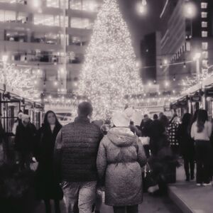 Gallery Photo 52