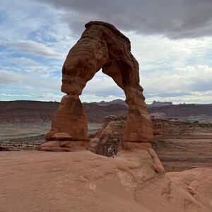 Gallery Photo 11