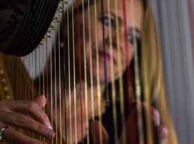 Susan W. Haas, Harpist - Harpist - Austin, TX - Hero Gallery 2
