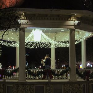 Gallery Photo 10