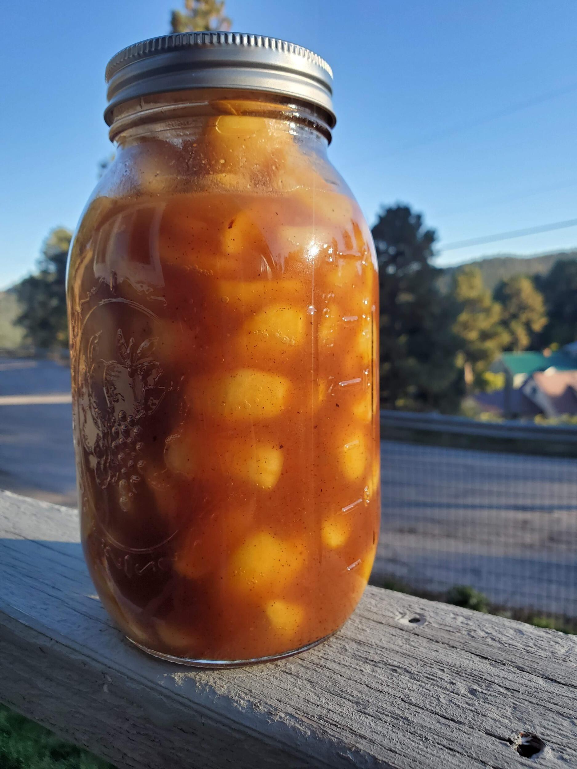 The first of many, many jars of apples from the back yard