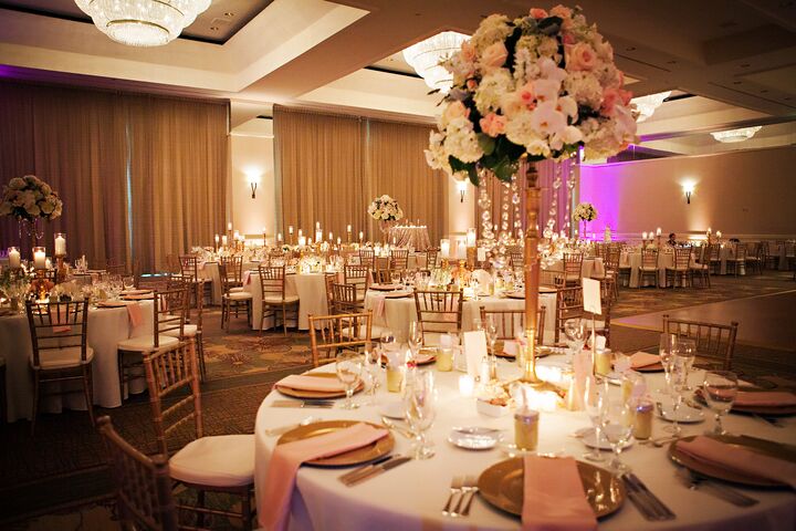 Grand Hyatt Tampa Bay | Reception Venues - The Knot