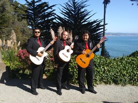 Trio Madrigal (Trio-Mariachi) - Acoustic Band - San Jose, CA - Hero Gallery 3