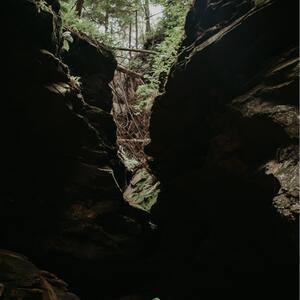 Gallery Photo 12