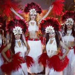 Hula dancers  and Tahitian fire dancers N.Y, N.J, profile image