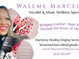 Waseme Saangz, LLC - Singer - Washington, DC - Hero Gallery 1