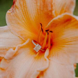 Gallery Photo 25