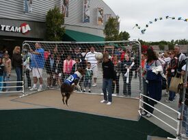 Soccer Dogs - Interactive Game Show Host - Ocala, FL - Hero Gallery 2