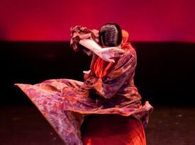 Alma Tacon - Flamenco Dancer - Miami, FL - Hero Gallery 3