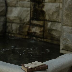 Gallery Photo 41