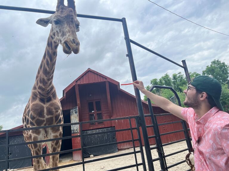 One of our favorite dates where we went to the Tennessee Safari Park