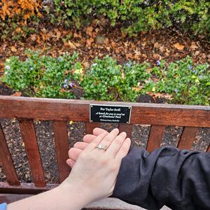 Gallery Photo 9