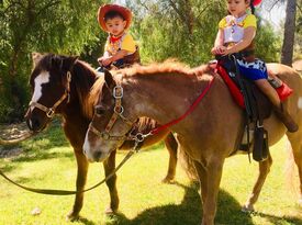 Critters To Go Petting Zoo and Pony Rides - Petting Zoo - Pinon Hills, CA - Hero Gallery 1