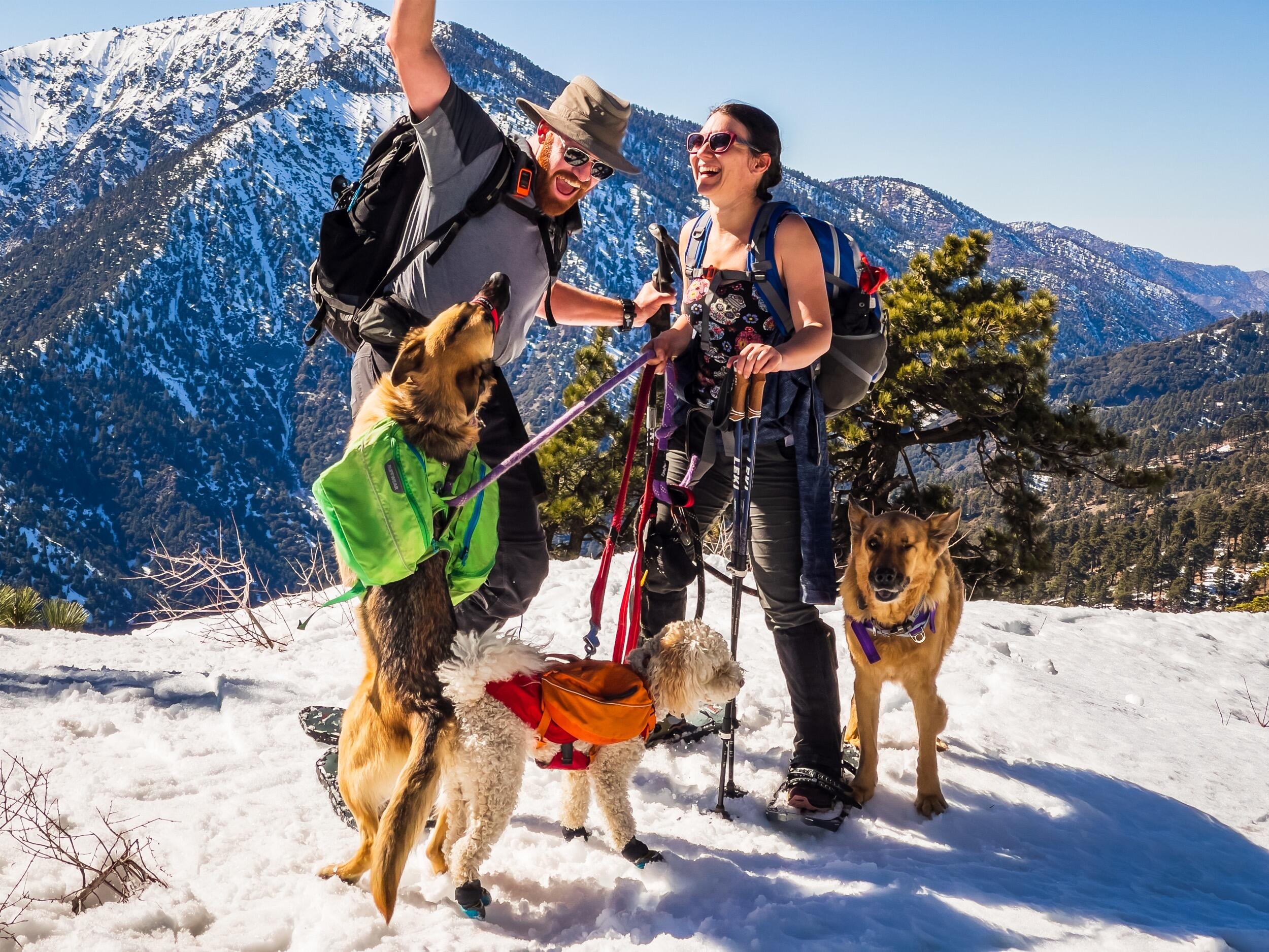 Snowshoeing with the pups!