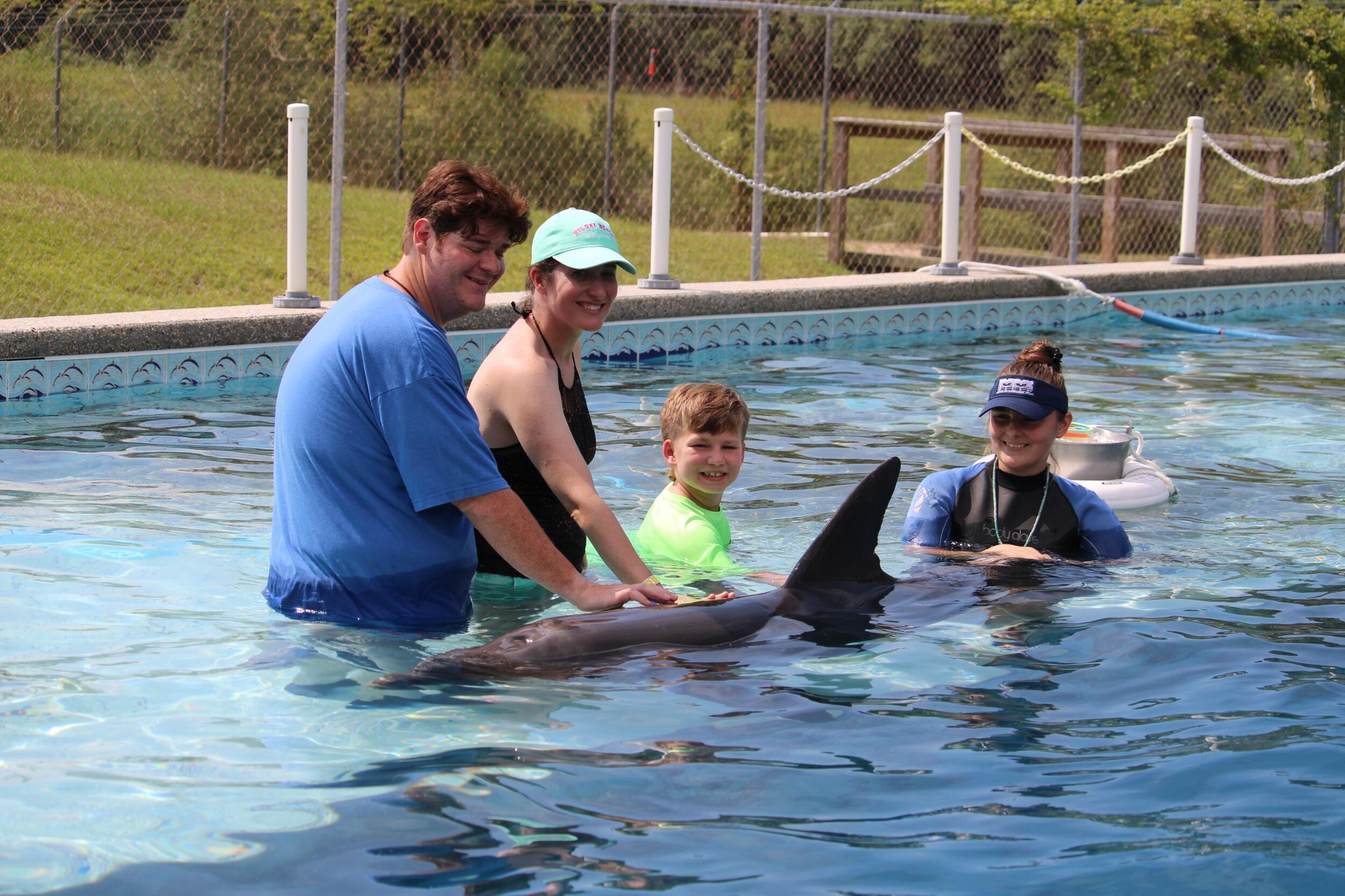 Dolphin Swim