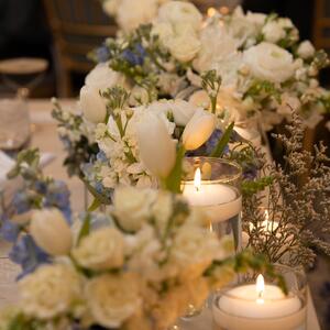 Gallery Photo 58