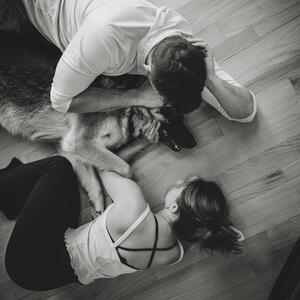 Gallery Photo 23